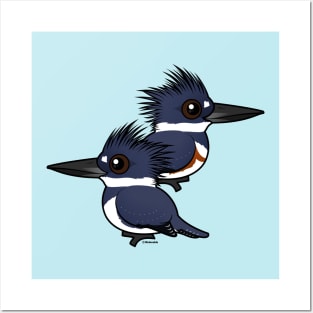 Cute Belted Kingfisher Pair Posters and Art